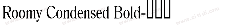 Roomy Condensed Bold字体转换 Roomy Condensed Bold字体转换